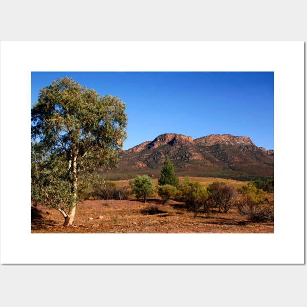 Outback Australia the Flinders Ranges Wall Art by jwwallace